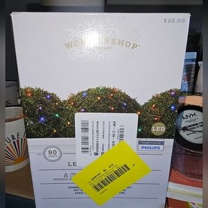 Wondershop Multicolor led lit net lights